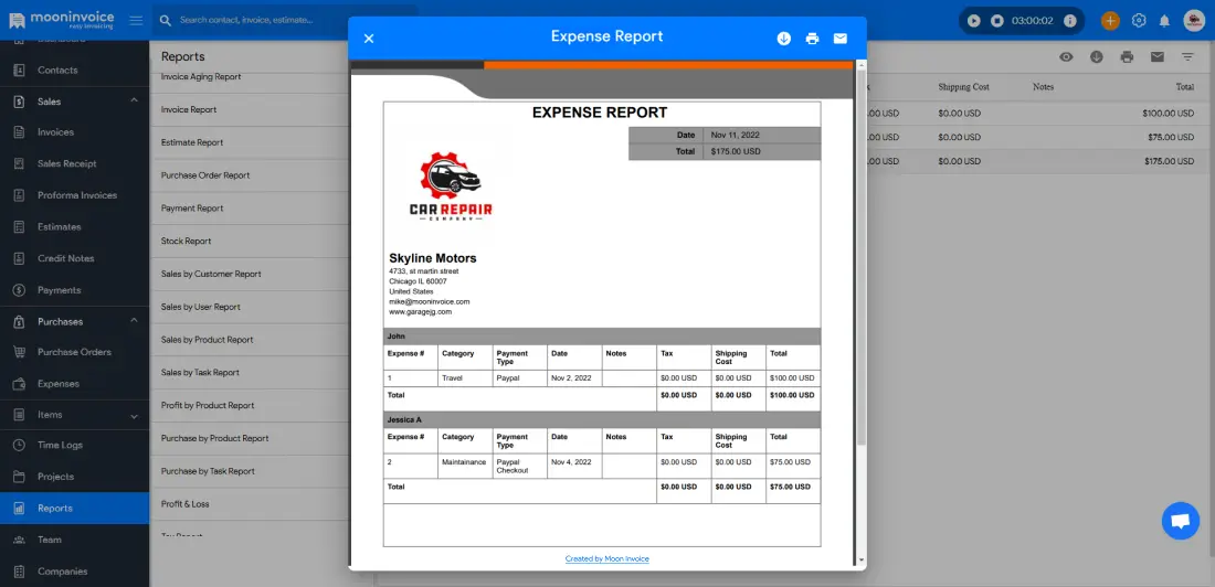 Expense Report Example